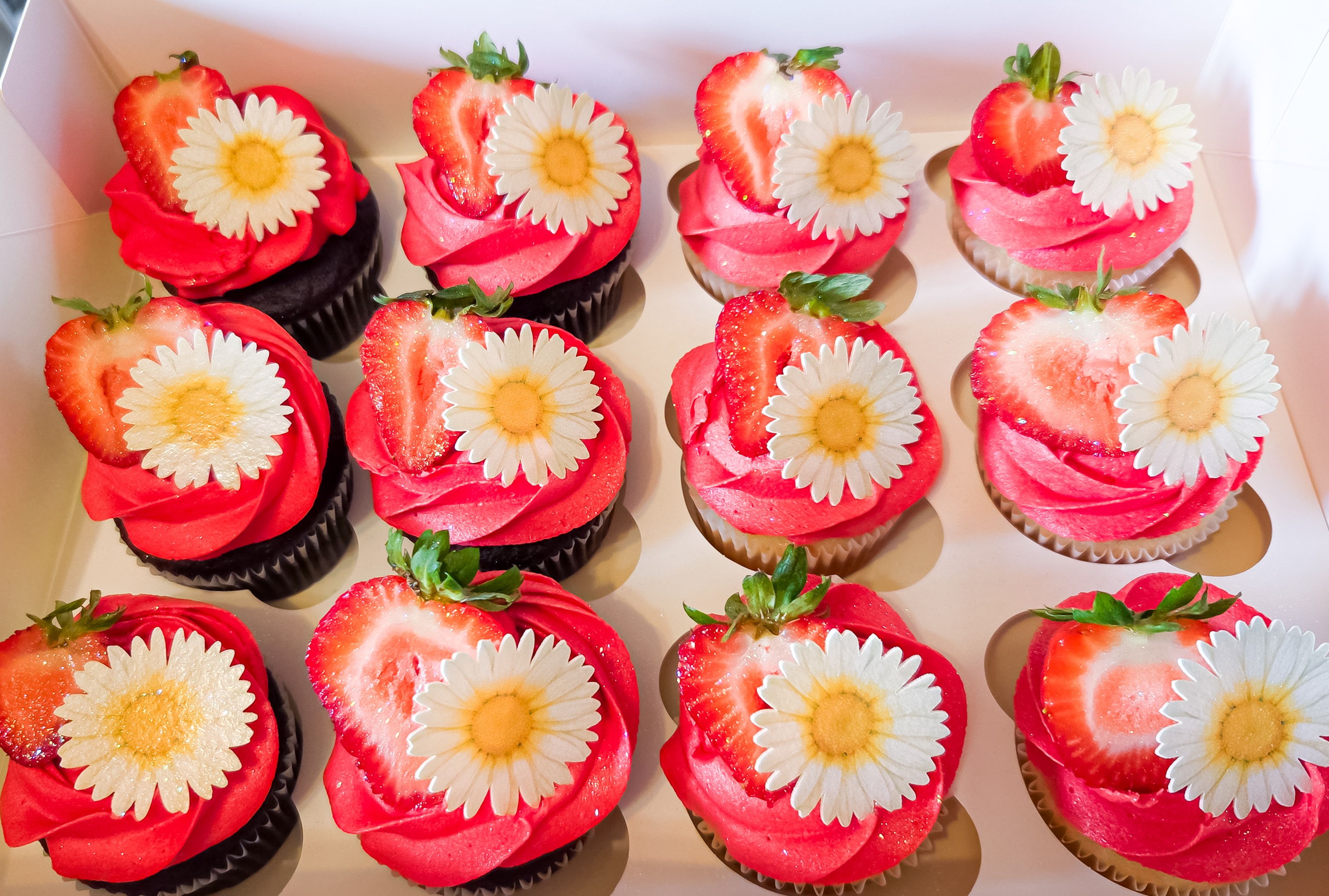 Cupcakes with red frosting, white daisies, and fresh strawberries